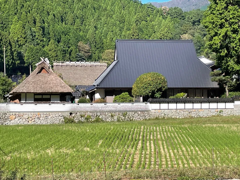 田んぼと茅葺き屋根の堂屋敷外観